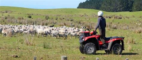 Utv V Atv Which Is Best For Farming