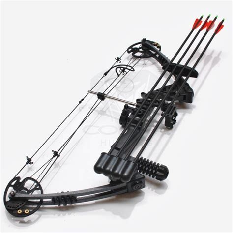 20 70lbs Compound Bow Arrow Archery Hunting Target Shooting Black