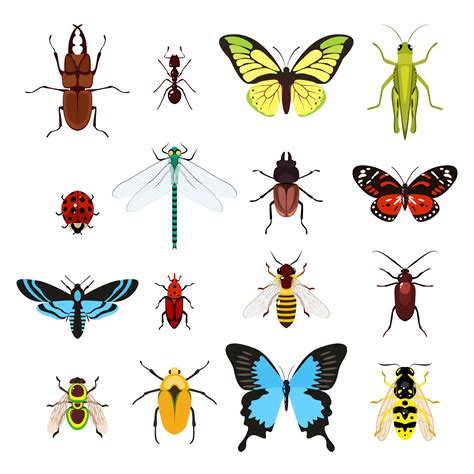 Insect Clip Art