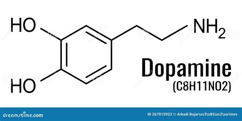 Dopamine Formula Chemical Structure Of Molecule Stock Vector