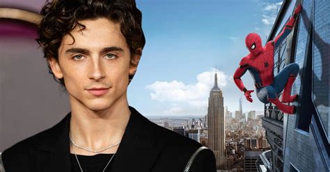 how much money did timothée chalamet lose due to his disastrous spider man audition