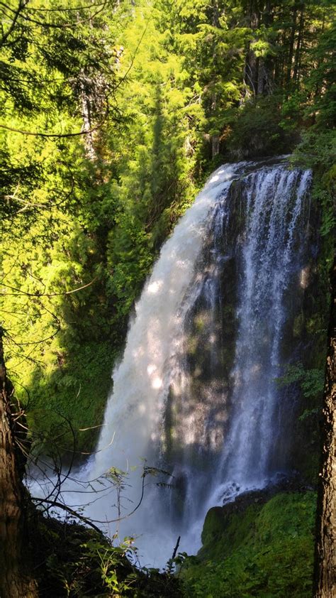 One Of The Most Incredible Hidden Waterfalls In Oregon Hiking