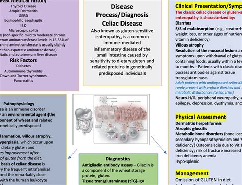 Celiac Disease Concept Map And Study Guide Etsy