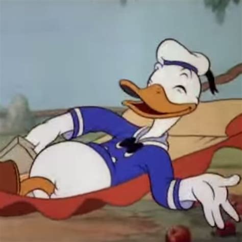 Donald Duck Moet Naar School Filmpje Donald Duck Kinderfilms School