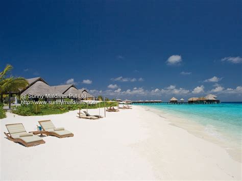 Beach 3 Coco Palm Bodu Hithi Sunny Maldives Pvt Ltd Sunny
