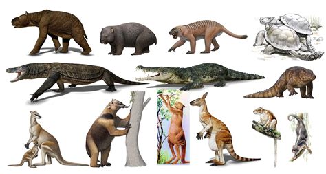 147 best megafauna images on pholder naturewasmetal megafaunarewilding and no mans sky the game