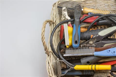 5 Tips for Organizing Pet Supplies - The Organized Mom