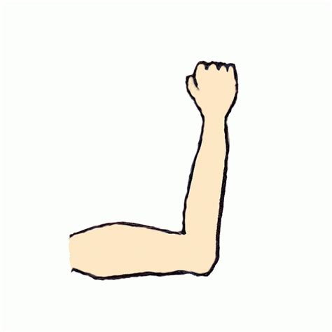 Arms Clipart Weak Arm Arms Weak Arm Transparent Free For Download On