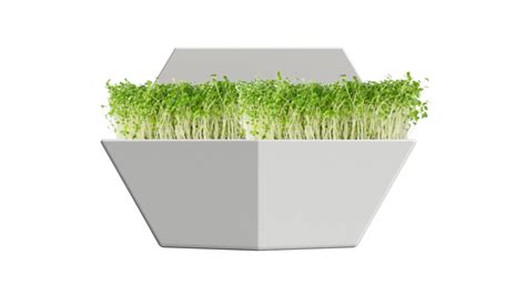 Microgreens Kit Para Cultivar On Behance