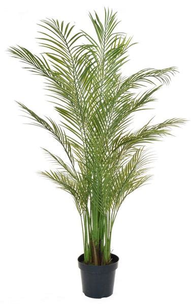 Artificial Areca Palm Tree Uv Outdoor And Fire Retardant Artificial Green