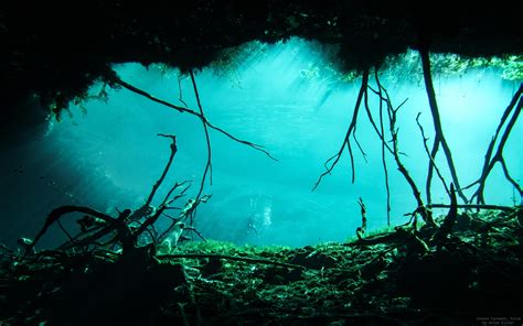 Cenote 4k Wallpapers For Your Desktop Or Mobile Screen Free And Easy To