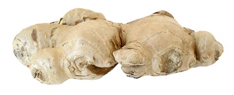 Ginger Png Transparent Image Download Size 1712x697px