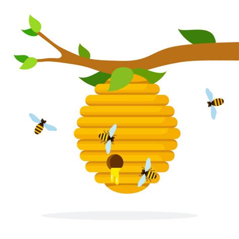 hanging beehive clipart