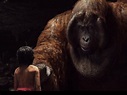 'Jungle Book': Meet Christopher Walken's orangutan King Louie