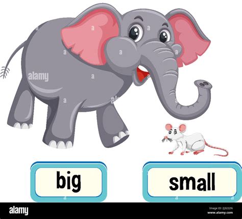 Opposite Words For Big And Small Illustration Stock Vector Image And Art