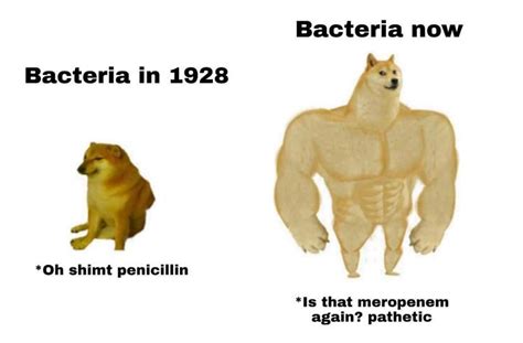 Ready For Your Inevitable Mrsa Diagnosis Rlabrats