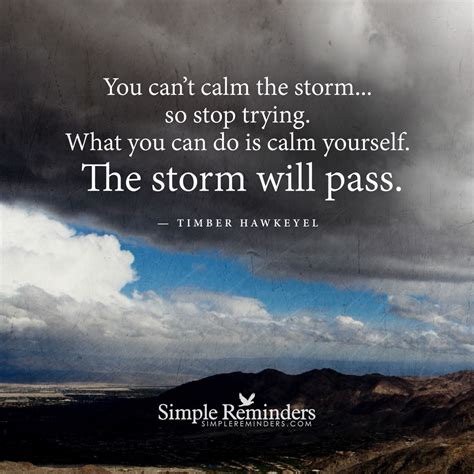 Favorite after the storm quotes. "You can't calm the storm… so stop trying. What you can do ...