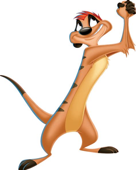 Timon PNG