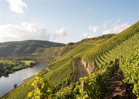 Wine Tasting In The Moselle Valley Audley Travel Uk