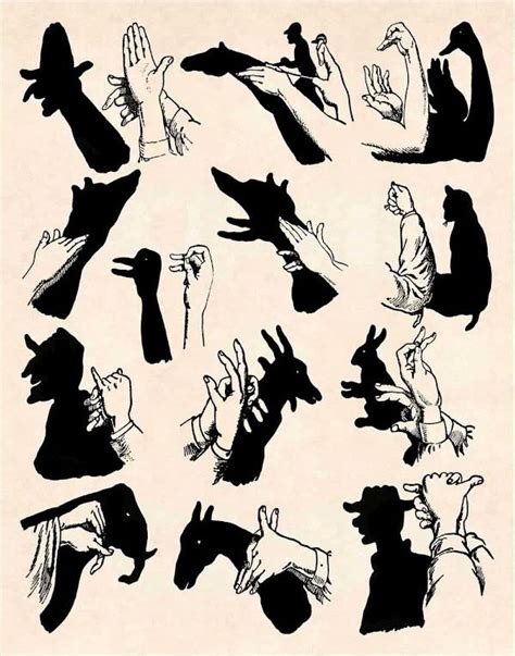 Pin On Shadow Puppets