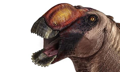 Paleontologists Discover Strange New Species Of Duck Billed Dinosaurs