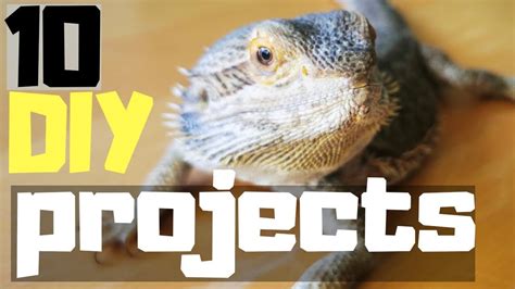 See more ideas about diy rack, reptile room, diy reptile. These 10 Reptile DIY Projects Will Keep You Busy || DIY Vivarium Decor - YouTube