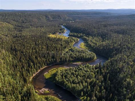 Aerial View Of Vast Boreal Aka Taiga Forest On Sunny Summer Day In
