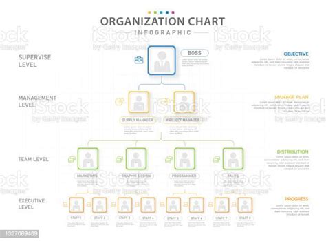 Infographic Modern Organization Chart With Position Stock Illustration