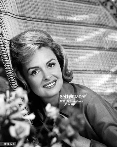 Donna Reed Gallery Photos And Premium High Res Pictures Getty Images