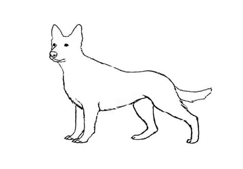 How To Draw A German Shepherd Step By Step Easy Animals 2 Draw