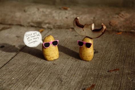 Hilarious Food Art Features Potatoes Wearing Pink Sunglasses Potato