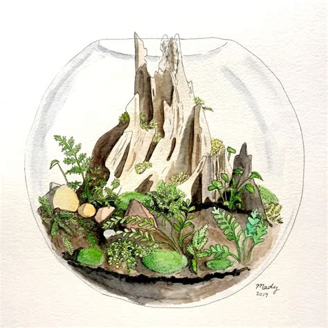 Not A Real Terrarium But A Painting Of One I Did Recently