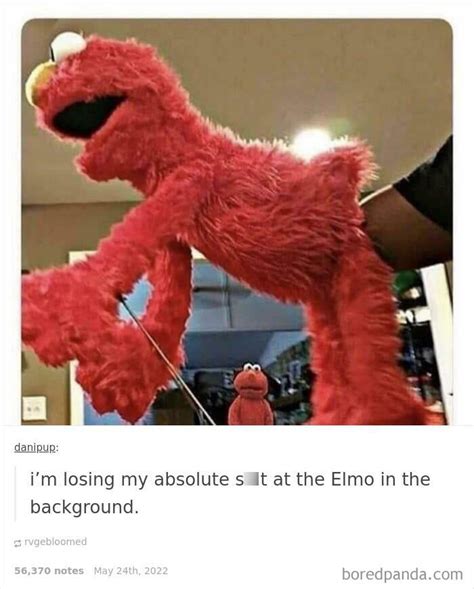 Not Mine But Elmo On The Background Is Shocked 9gag