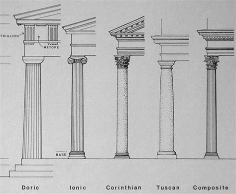 Elements Of Classical Columns Designing Buildings
