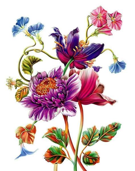 Flower Botanical Flower Art Flower Illustration Flower Art