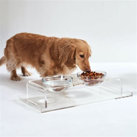 Hiddin Glass Bowl Clear Elevated Feeder And Reviews Wayfair