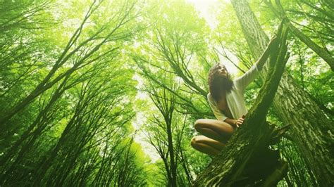 Forest Bathing A Practice With Roots In Japan Gains A Foothold In
