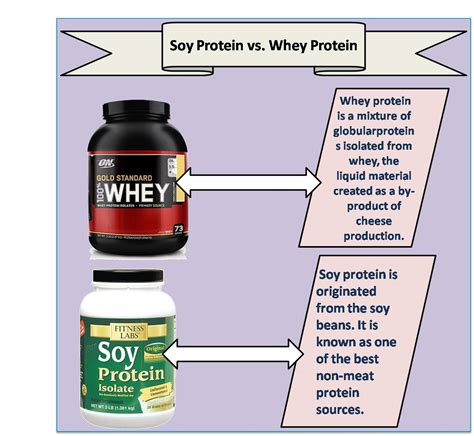 If you recall, whey protein is made from dairy and pea protein is made from peas. Soy Vs Whey Protein - Which One is Better? Why Not Both ...