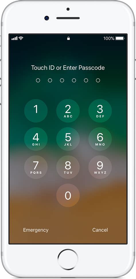 Iphone Apple Id Activation Lock Telegraph