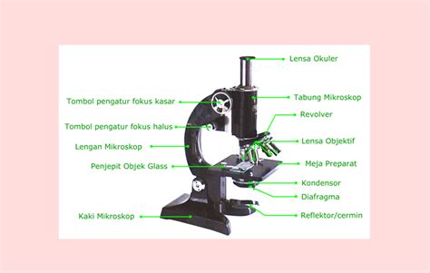 Mikroskop Pengertian Fungsi Bagian Jenis Markas Belajar