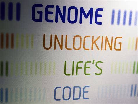 In progress photographs of Genome: Unlocking Life's Code exhibit