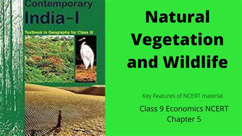 Natural Vegetation And Wildlifeclass 9 Geography Ncert Chapter 5