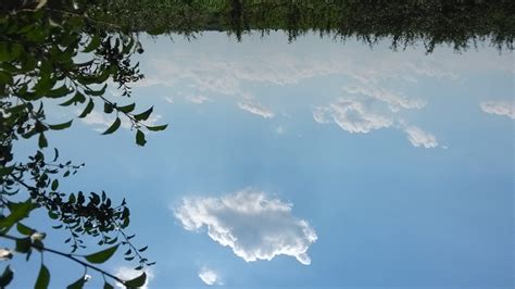 Wallpaper Sunlight Nature Reflection Sky Branch Cloud Tree