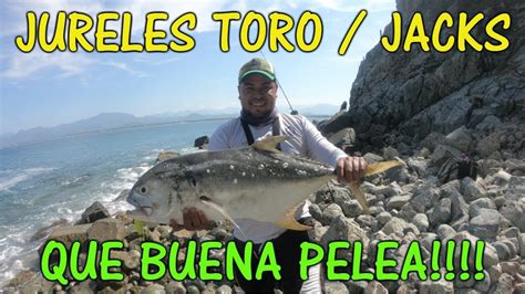 Doblete De Jureles Pesca De Orilla En Ixtapa Zihuatanejo Youtube