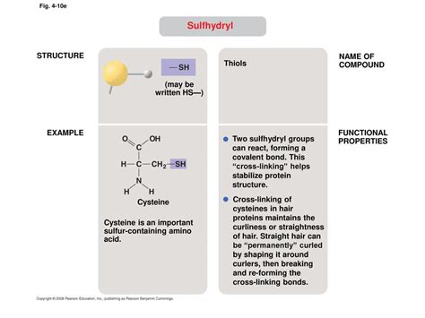 Biochemistry Unit 1 Molecules Of Life Ppt Download