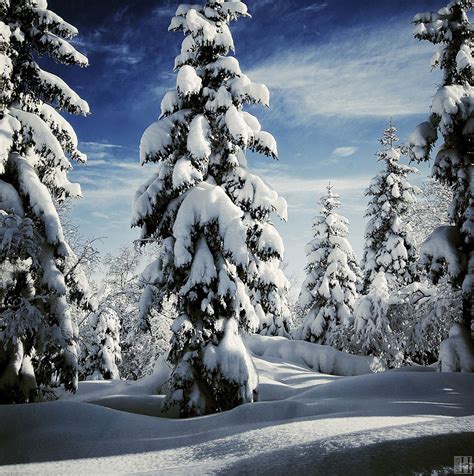 20 Breathtaking Photos Of Winter Landscapes Bored Panda