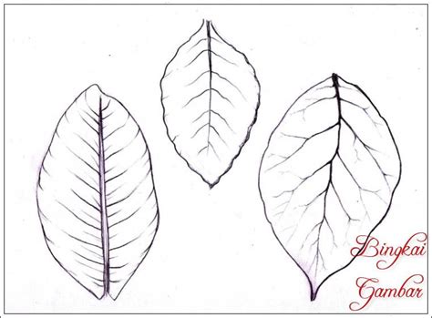 Tren 34 Gambar Sketsa Daun