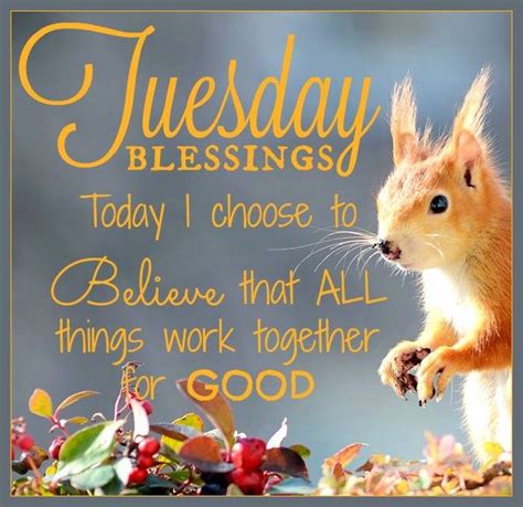 Life is awesome so make sure to enjoy every minute of it with these 55 motivational and sometimes funny tuesday quotes. Tuesday Blessings | goodmorningpics.com