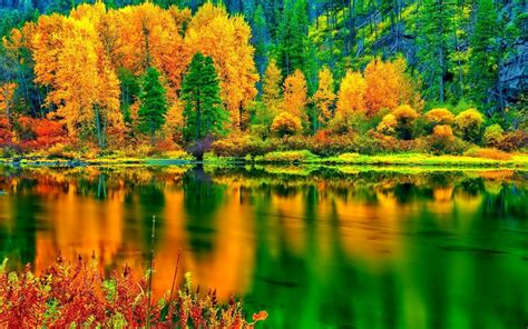 Scarica Sfondi Albero Autunno Natura Paesaggio Foresta Lago