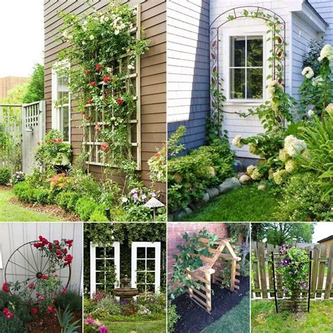 15 Unique Trellis Ideas For Your Homes Garden